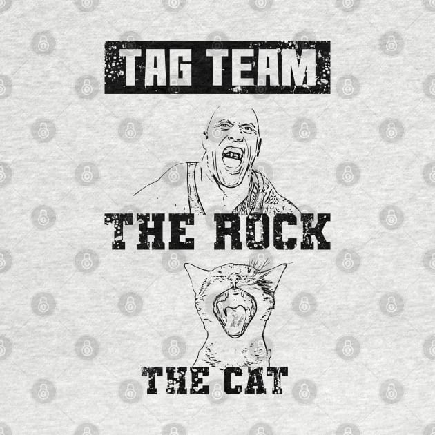 The rock and the cat by Nana On Here